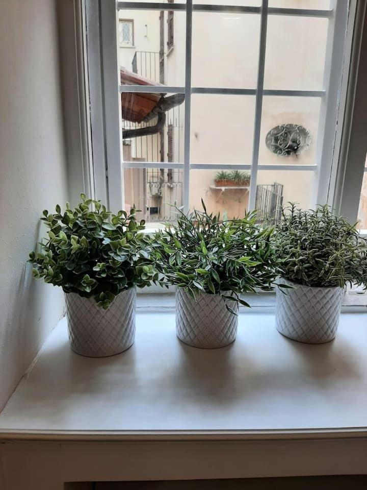 Charming Loft In Piazza Di Spagna Apartment Roma Ngoại thất bức ảnh