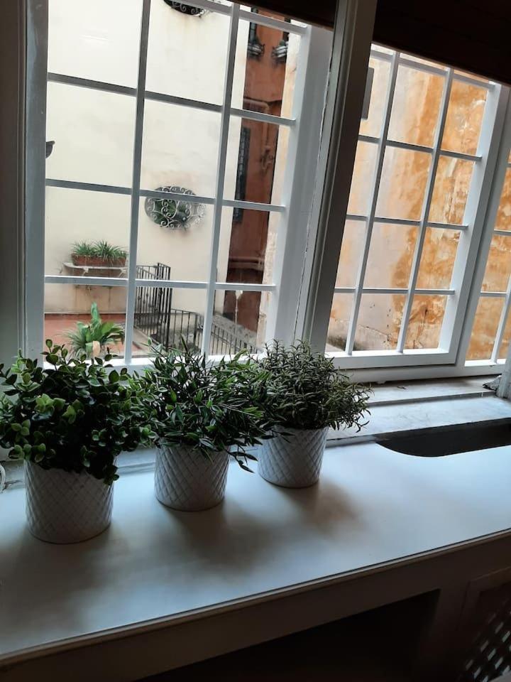 Charming Loft In Piazza Di Spagna Apartment Roma Ngoại thất bức ảnh
